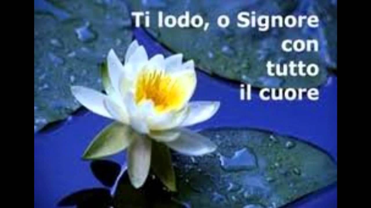 …DUE ORE…